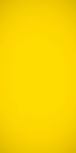 spot_img