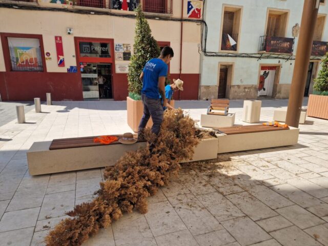 WhatsApp Image 2026-07-27 at 12.54.59 (3)